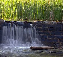 Flowing by Ann Rodriquez