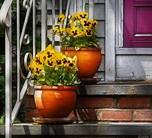Pots of Pansies by Mike Savad