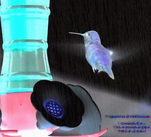 Negative Brilliance by Gail Bridger