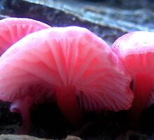 Life after death - II by KimberlyNic