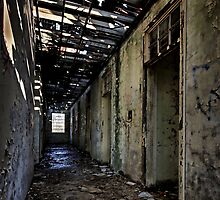 Row of Cells by Mark Snelson