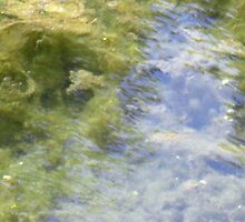 Is this a lovely reflection of trees in a mountain river? Or is it . . . by Dayonda