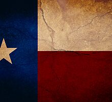 The Lone Star State by webart