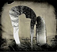 outside she folds inside she grows by Loui Jover