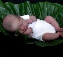 Baby sleeping in leaf by Michelle *