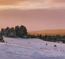 Winter Scene by Gino Caron