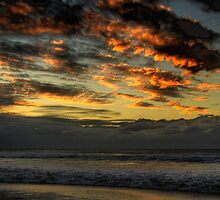 Promise - Palm Beach- Sydney Beaches - The HDR Series by Philip Johnson
