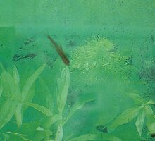 something fishy - for the guys! by anaisnais