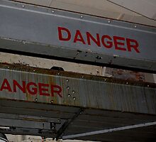 Danger Danger!! by MissyVix