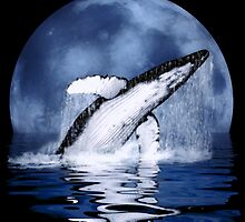 Humpback Whale by Walter Colvin
