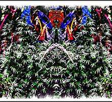 Christmas in Febuary by Phineous "Flash" Cassidy