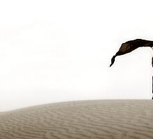 Life by Paul Tupman