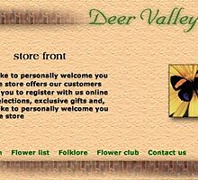 Deer Valley Florist web site concept by Todd Weidman