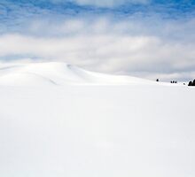 Snow Dunes by LarryGambon