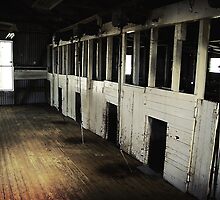 Shearing shed by Bernadette Maurer