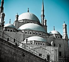 Citadel by missnmn