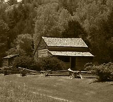 Dan Lawson Place III by Gary L Suddath