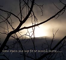 to see.... by aspectsoftmk