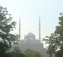 Salah El-Din Citadel by Mondy