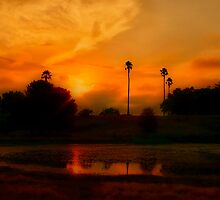 "The Day Thou Gavest,Lord, is Ended" by Phil Thomson IPA