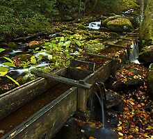 Old Mill Flume, GSMNP by ThomasRBiggs
