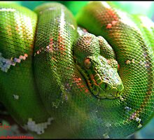 SsssSINister by ZenAkita