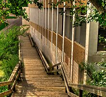Boardwalk by Myron Watamaniuk