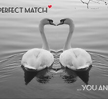 "SOLD" A PERFECT MATCH - YOU AND I by Colleen2012