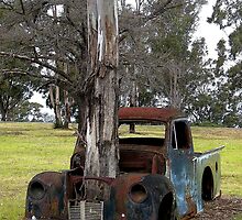 The Ultimate Green Vehicle by George Petrovsky