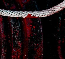 rope burns by butchart