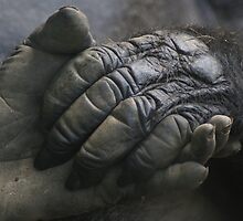 Take My Hand by Lori Walton