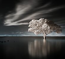 New Beginnings by Ben Ryan