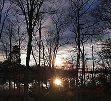 Winter's Candle by Eileen McVey