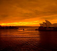 Victorian Bushfire Appeal Calender by David Petranker