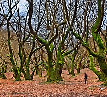 Ghost running in the haunted forest by Hercules Milas
