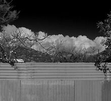 Foliage Framed Marshmallows by Tamarama72