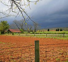 Storm Over the Farm by Patricia Montgomery