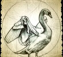 swan drawing by RobCrandall