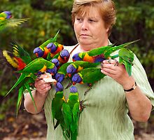Rainbow Lorikeets at Murramarang National Park by Darren Stones