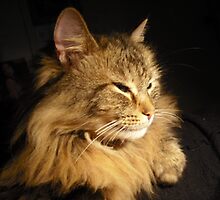 Plato pussy by atomikboy