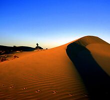 THE DUNE by helmutk