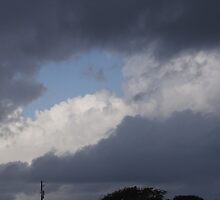 Before the Storm by alr2008