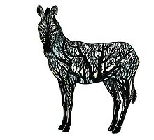 The Zebra by Nicolae Negura