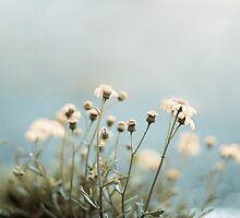 Now and then its good to pause in our pursuit of happiness, and just be happy by Natalia Campbell
