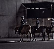 cops on horses by rafaj