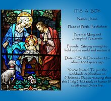 It's a Boy by Bonnie T. Barry