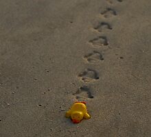 Coming Ashore by Andreas Mueller