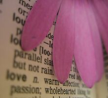 Love Defined by Melissa Park
