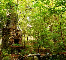 Fireplace in Woods by Jeannette Sheehy