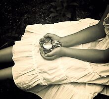 shells by Joana Kruse